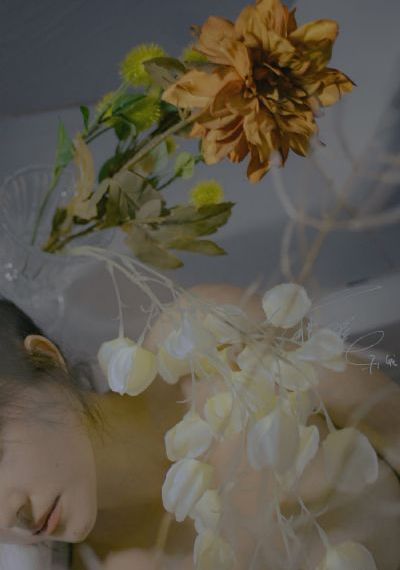 力王之监狱力王四大天王电影高清_720免费观看最新