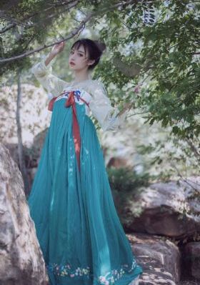 神医毒妃倾天下_BD国语高清迅雷在线观看