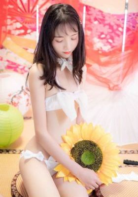 三大队24集在线观看免费高清_4K神马在线观看